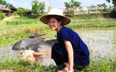 Thailandia: l’importanza della ristorazione sostenibile quando siamo in viaggio